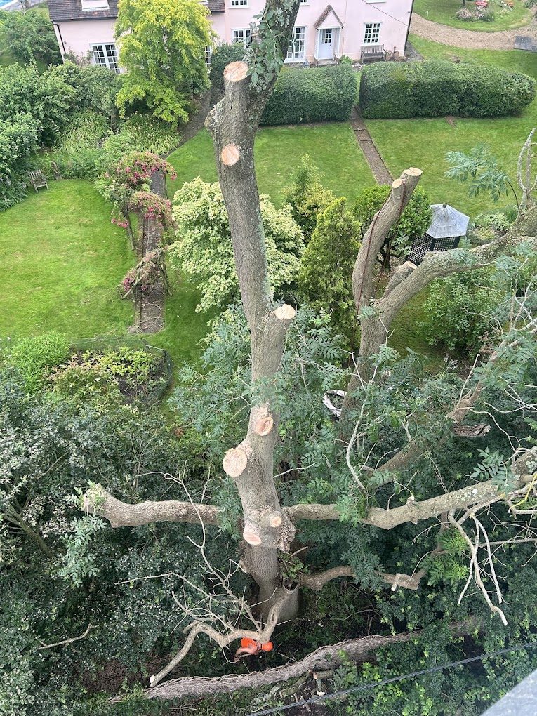 Aerial view mid-dismantle looking down over a garden.