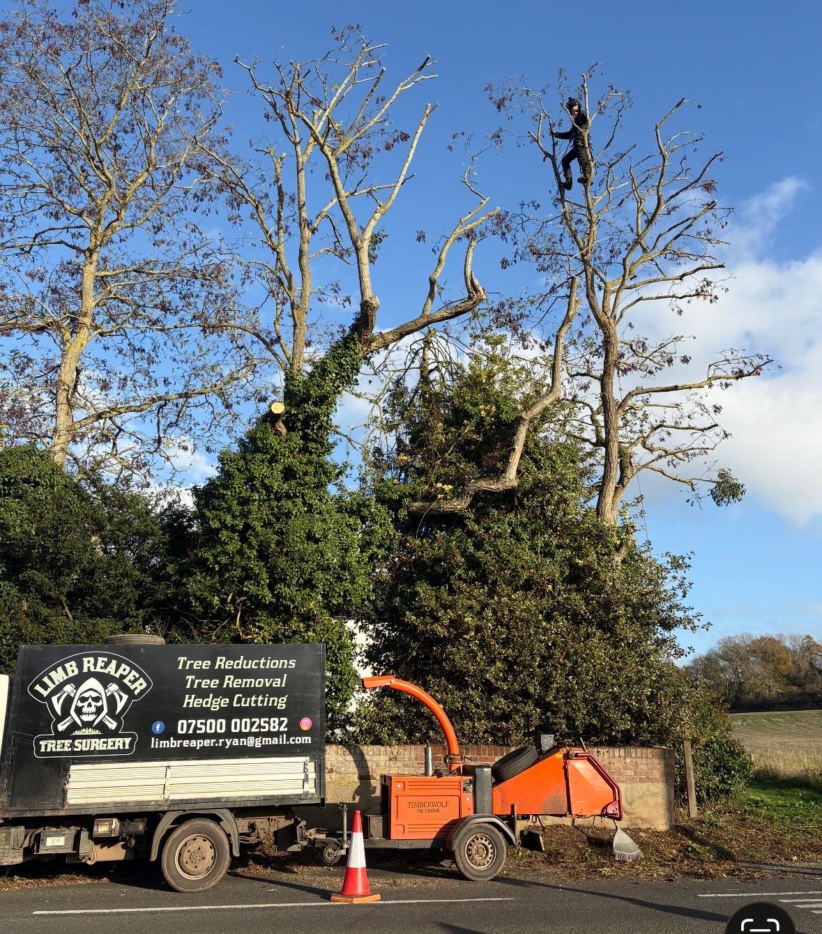 Limb Reaper arborist working above the company truck and wood chipper at a roadside site.