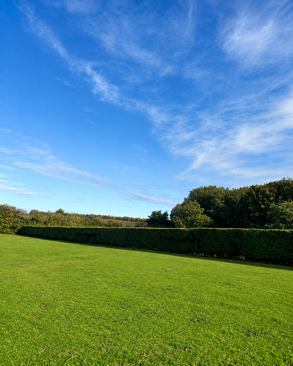 Long, neatly trimmed garden hedge bordering a large lawn.