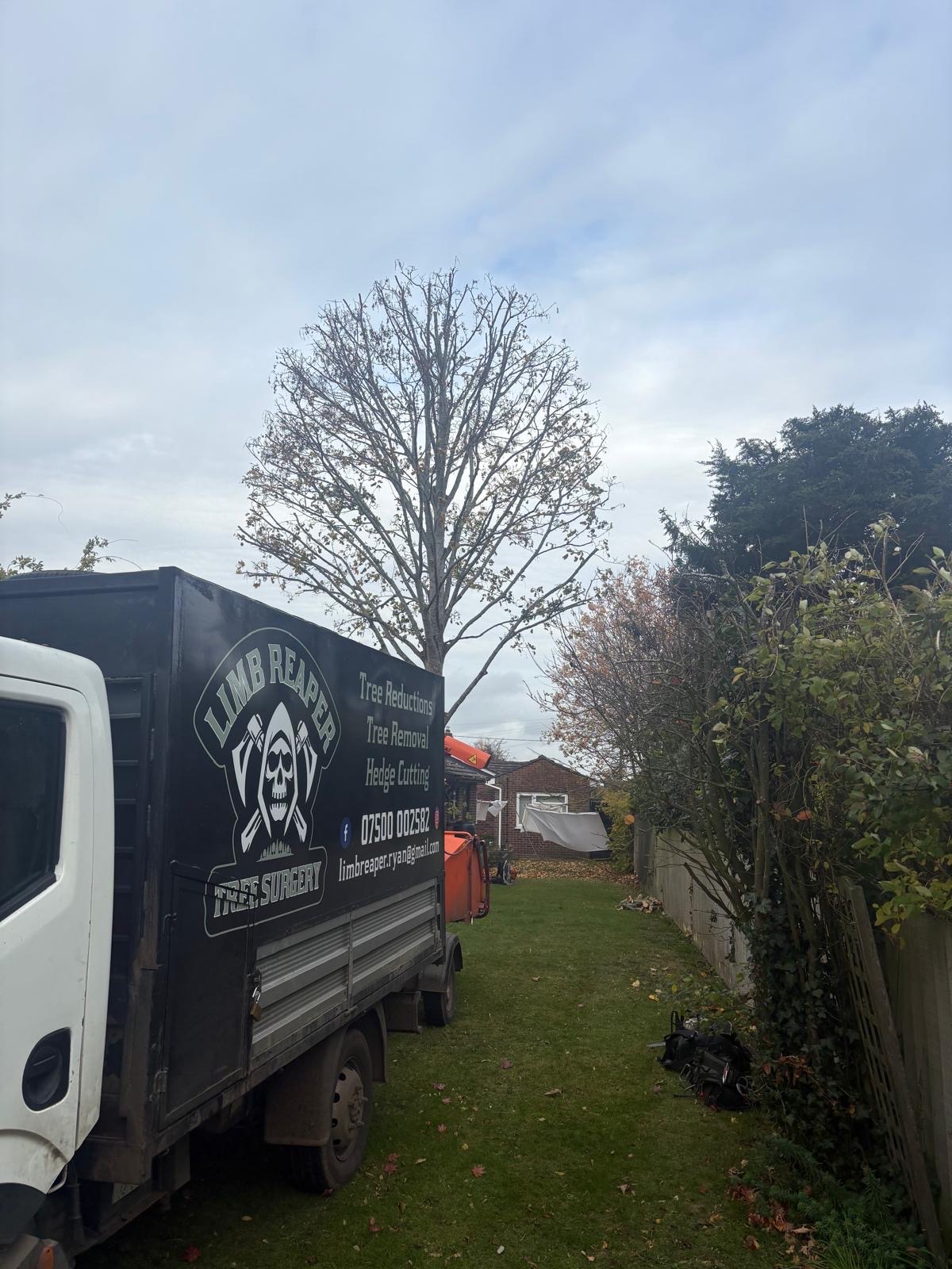 Limb Reaper works truck and equipment positioned in a residential garden during tree work.
