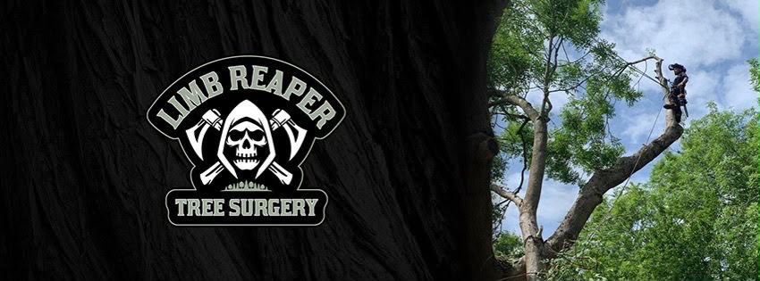 Limb Reaper Tree Surgery banner featuring the company logo and an arborist working high in a tree.