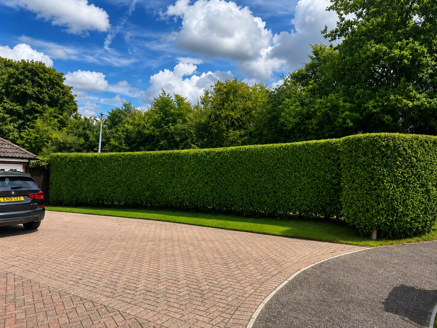 Long residential boundary hedge after a precise professional trim.