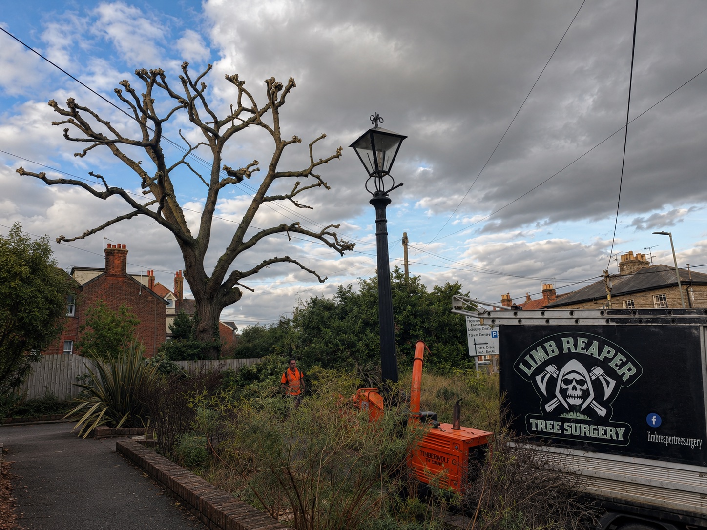 A freshly pollarded tree beside Limb Reaper equipment and vehicle.