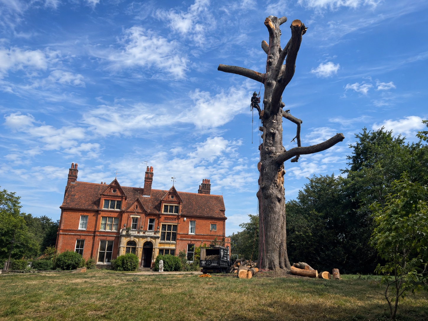 Arborist carrying out a controlled sectional dismantling of a large tree.