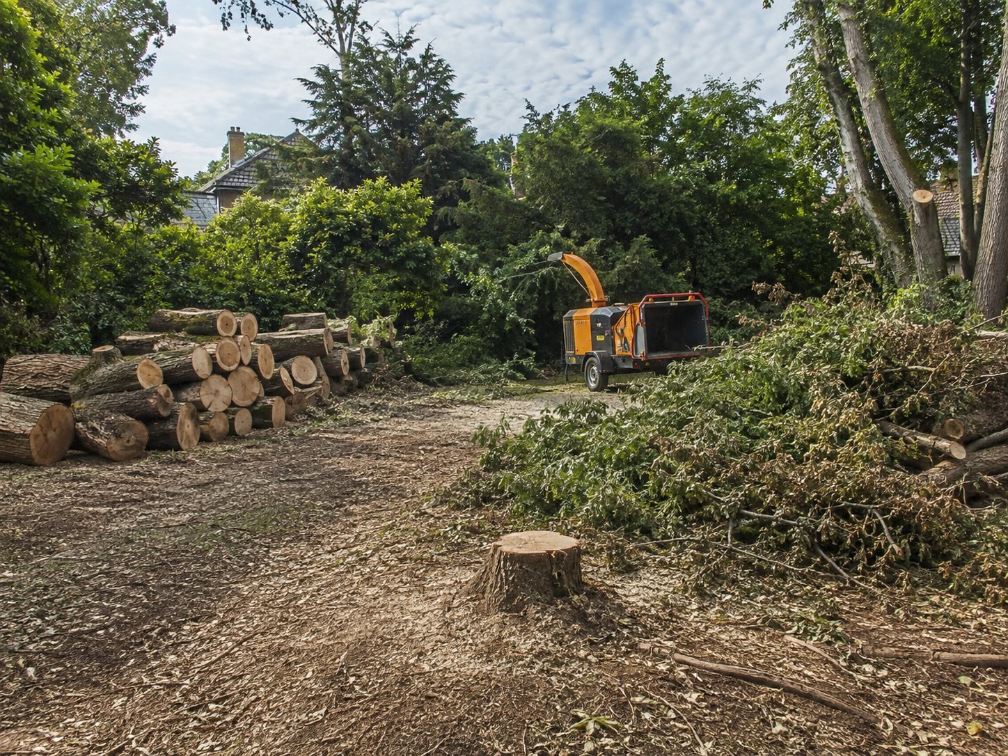 A wood chipper working through cleared brash, with a stacked log pile beside a cleared plot.