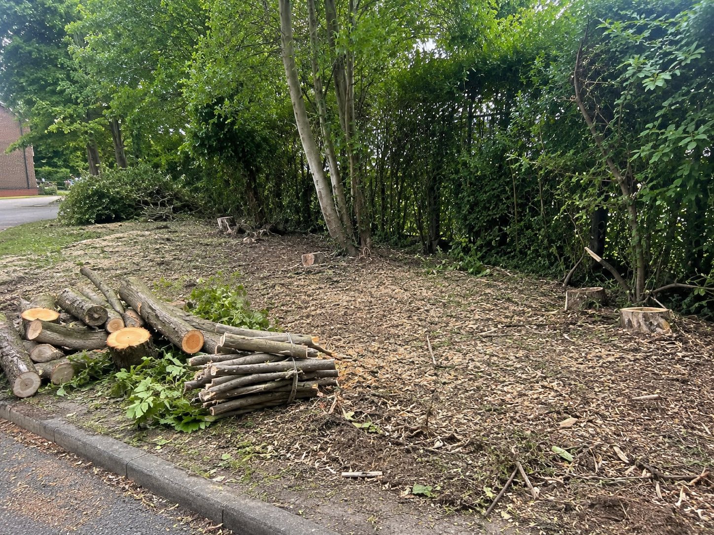 A cleared roadside verge with stacked and bundled logs, ground swept and tidy.
