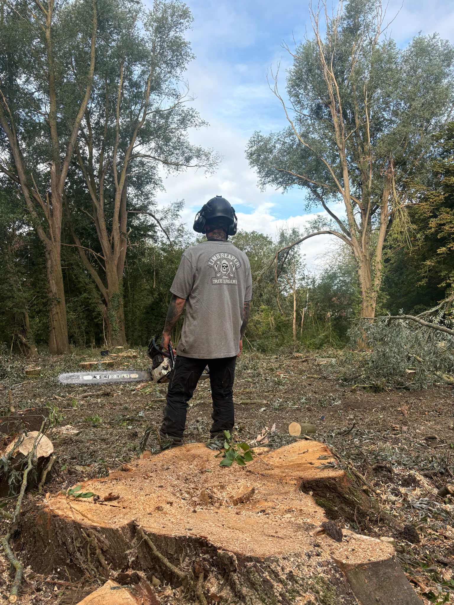 A Limb Reaper tree surgeon standing with a chainsaw on a newly cleared woodland plot.